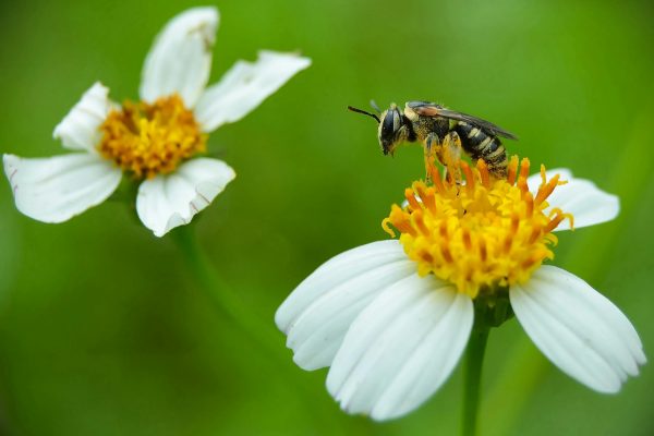 Nature and natural healing