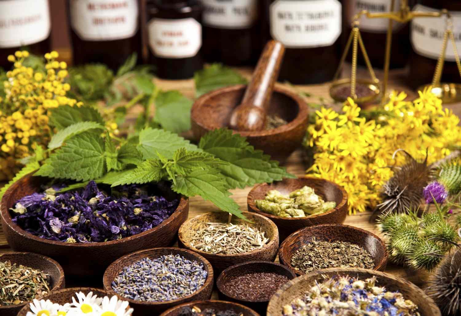 Dried herbs and botanicals